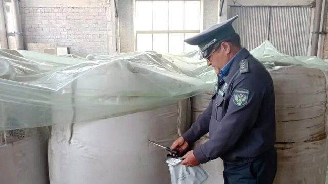 Экспорт башкирской пшеницы в Казахстан: 5,5 тысяч тонн прошли фитоконтроль