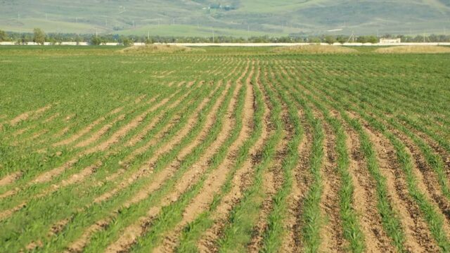 Казахстан вводит новый стандарт для производства органических удобрений