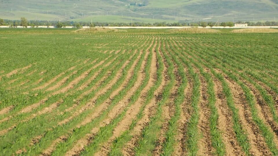 Казахстан вводит новый стандарт для производства органических удобрений