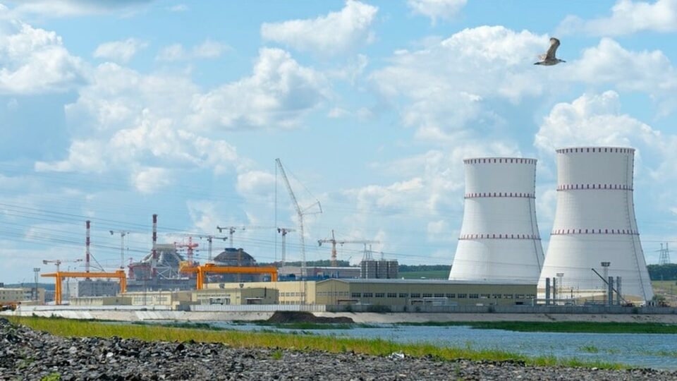 Қазақстандық помидорлардың Ресейге сатып алуы екі есе өсті