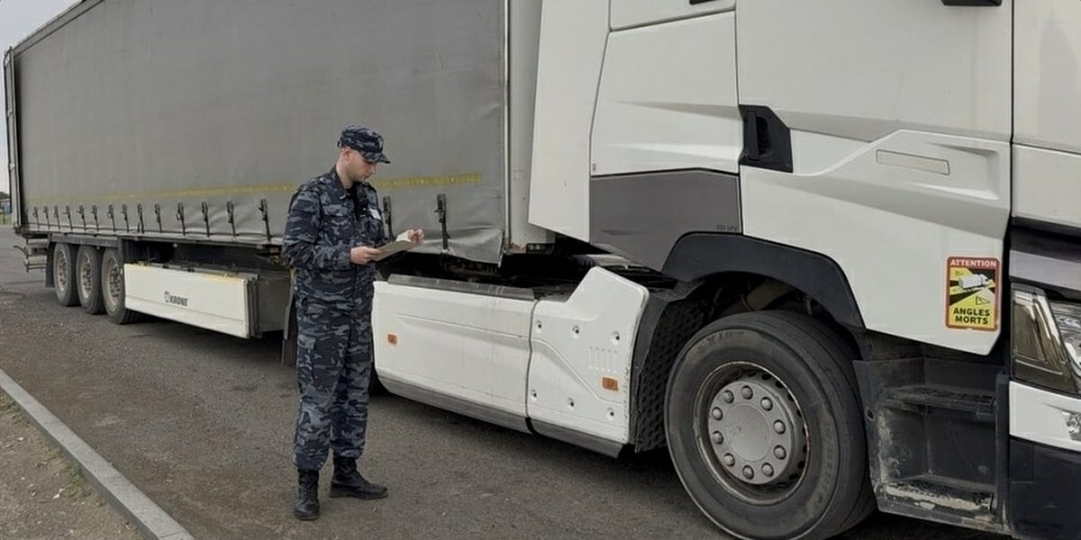 Импорт арбузов и дынь в Алтайский край превысил 2300 тонн