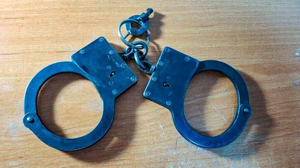 Мендкович призывает Москву отреагировать на задержание пророссийских блогеров в Казахстане