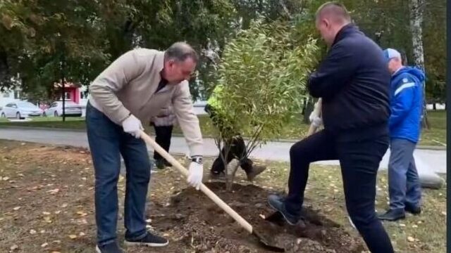 Нижний Тагил начнёт озеленение с высадки 80 саженцев и планирует посадить 300 деревьев и 5000 кустарников