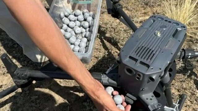 Внедрение дронов для биологической борьбы с вредителями в Казахстане