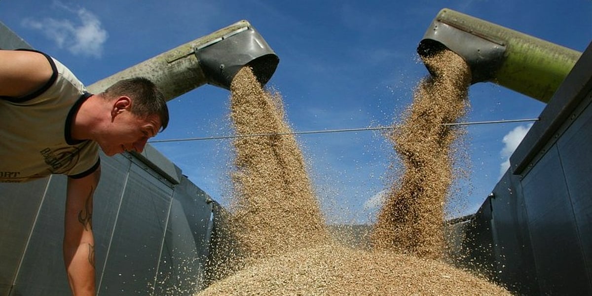 Экспорт агропродукции из России в Казахстан увеличился на 42%