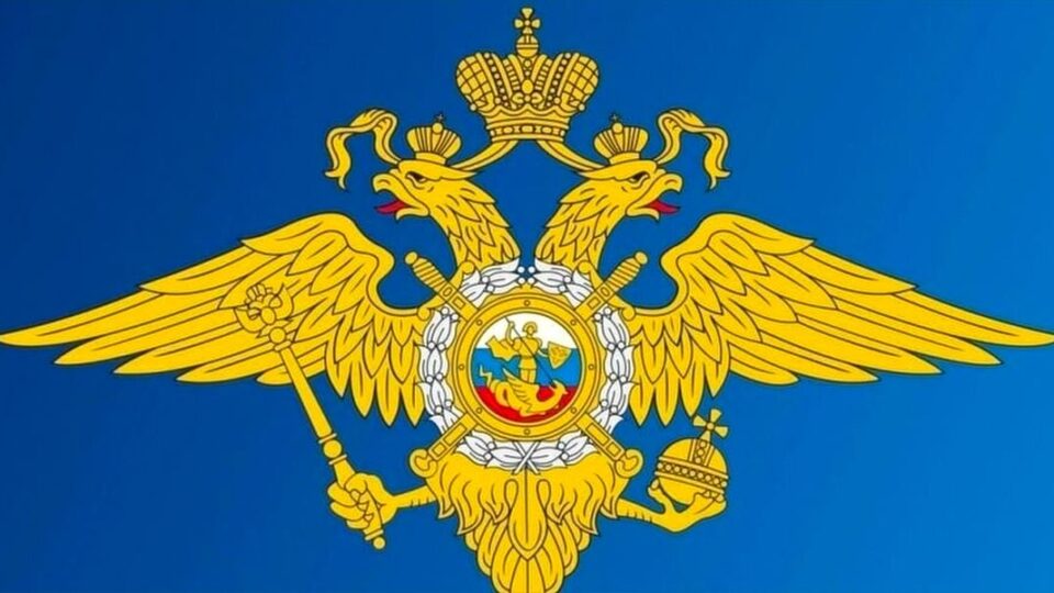 Ресейде ИКТ-құқық бұзушылықтарының саны сегіз айда 32,5%-ға төмендеді