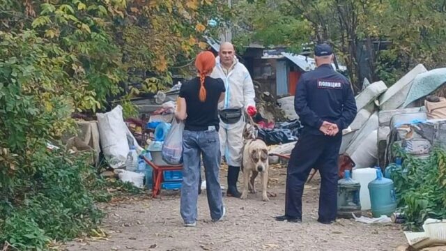 Поиск нового приюта для 90 собак в Казахстане продолжается