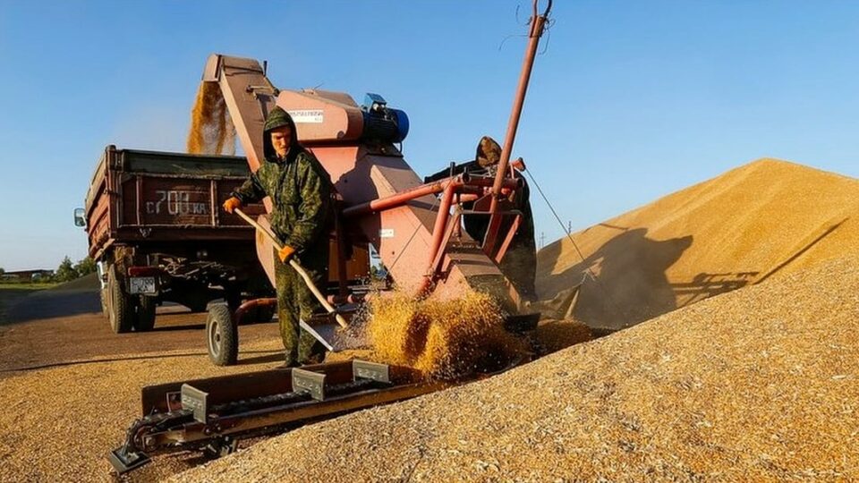 Қазақстан жаңа өнімнің астық экспортын 1,1 миллион тоннаға арттырды