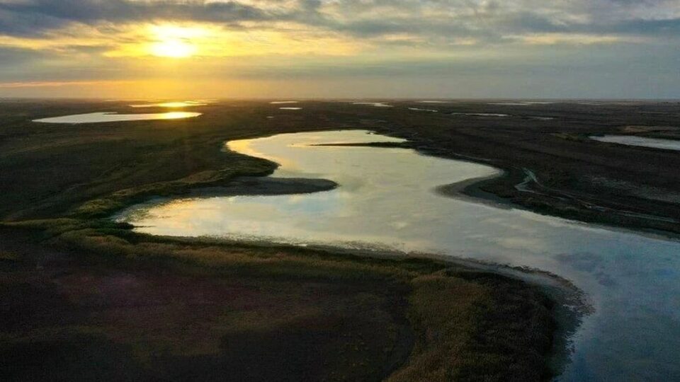 Увеличение экспорта сельхозпродукции из Астраханской области в Казахстан на 20%