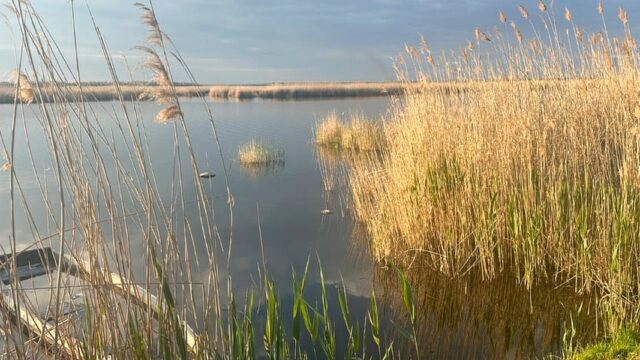 Казахстан и Россия обсудили управление трансграничными реками